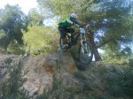 DSC08285.jpg