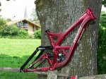 Specialized_Demo_frame.jpg