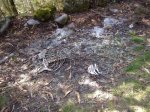 DSCF0286.jpg