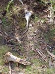 DSCF0288.jpg