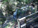 DSCF0292.jpg