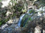 DSCF0293.jpg