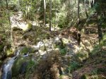 DSCF0294.jpg