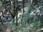 DSCF0296.jpg