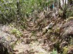 DSCF0289.jpg