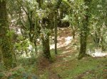 DSCF0291.jpg