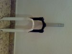 07042009377.jpg