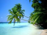 Playa_paradisiaca[1].jpg