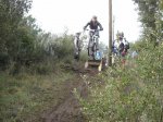 DSC06604.JPG