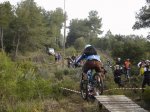 DSC06610.JPG