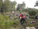 DSC06624.JPG