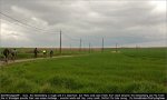 gw-fields[1].jpg