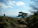 Image_008.jpg