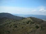 Image_010.jpg