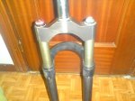 DSC01893.jpg