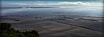 user70319_pic3664_1227442637_thumb.jpg