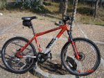 bici 20-2-09 011_1.jpg