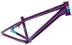 Transition 24 Purple2.jpg