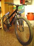 DSC00554.jpg