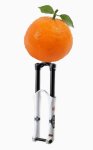 orange con 66.jpg
