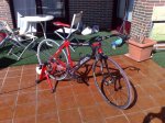 08042009136.jpg