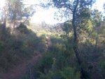 Imagen025.jpg