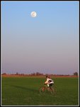 IMG_0883.jpg
