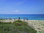 DSC01676.jpg