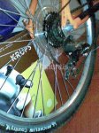 orbea1.jpg