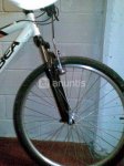 orbea2.jpg