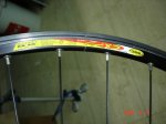 DSC00044.JPG