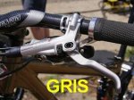 gris.JPG