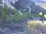 DSC07480.jpg