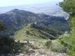 DSC07483.jpg