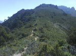 DSC07484.jpg