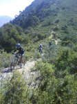 DSC07485.jpg