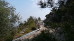 P1090318_resize.JPG
