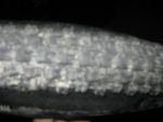 ImagenNov2009 049.jpg