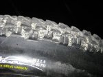 ImagenNov2009 051.jpg