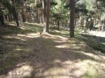 Foto7.JPG