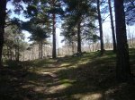 Foto8.JPG