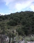 Foto-0011.jpg