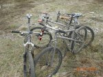 DSCN5501.JPG