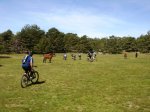 DSC07620.JPG