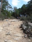 DSC07658.jpg