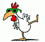 pollito.gif