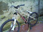 specialized p.grom 1.jpg