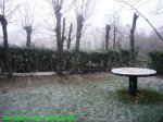 Foto3.JPG