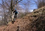 2009-04-09 Mirutegi87.jpg