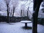 Foto4.JPG